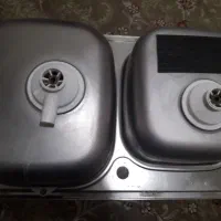 سینگ دوقلو صحیح وسالم