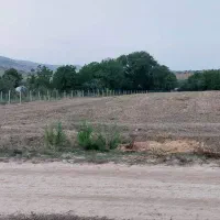 فروش زمین ۳۵۰ متری قلعه قافه بالا|فروش زمین و ملک کلنگی|مینودشت, |دیوار