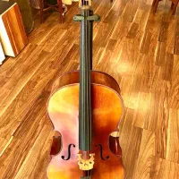 ویولنسل تی اف ۱۴۶