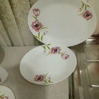 سرویس غذاخوری آرکوپال مارک فرانسوا ۲۴ نفره|ظروف سرو و پذیرایی|دورود, |دیوار