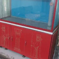 آکواریوم آب شور وشیرین