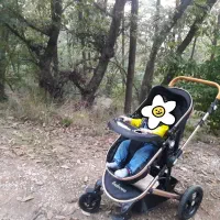 کالسکه بلکو|کالسکه و لوازم جانبی|سنندج, |دیوار