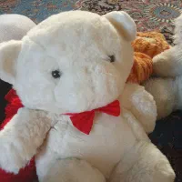 عروسک های زیبا تازه تازه