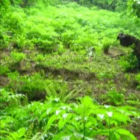 پارتنر گردش