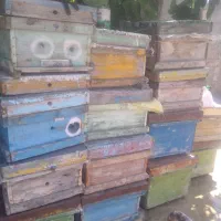جعبه زنبور عسل