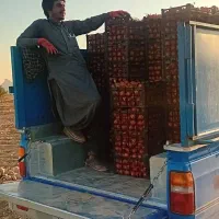 نیسان وسایپابار تلفنی|خدمات حمل و نقل|دوگنبدان, |دیوار