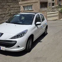 207 پانا رینگ خشک