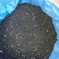فروش سیاه دانه