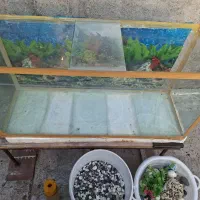 آکواریوم|ماهی|نجف‌آباد, امیرآباد|دیوار