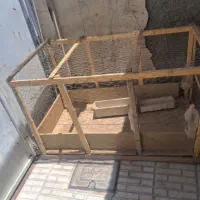 قفس خروس