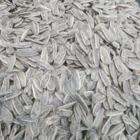 اجیل تخمه سنتی