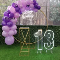 دیزاین و تم تولد،بادکنک آرایی در سراسر شیراز|خدمات پذیرایی، مراسم|صدرا-فارس, فاز ۱|دیوار