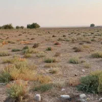 زمین چاه پیر|فروش دفتر صنعتی، کشاورزی، تجاری|اهرم, |دیوار