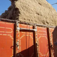 کاه نیشکر|حیوانات مزرعه|گنبد کاووس, |دیوار