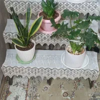 گل و گلدان