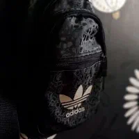 بادی بگ