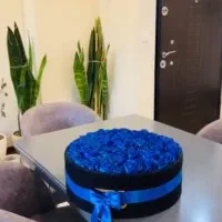 گل  پینترسی