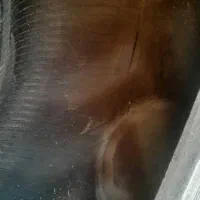 لاستیک تراکتور ۳۹۹|قطعات یدکی و لوازم جانبی|باوی, |دیوار