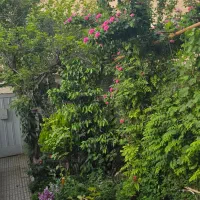 فروش منزل ویلایی ۲۰۰متری خیابان آتشگاه|فروش خانه و ویلا|اصفهان, جنیران (لادان)|دیوار