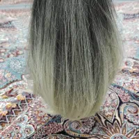 گیس قابل شستشو و اتو کشی|آرایشی، بهداشتی، درمانی|تبریز, |دیوار