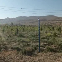 3680مترزمین/سنددار/بر جاده اصلی منطقه نمرود