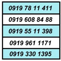 0919.2066863|سیم‌کارت|تهران, توحید|دیوار