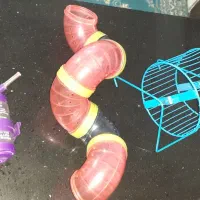 وسایل همستر