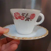 فنجون نعلبکی بارفتن آمریکایی