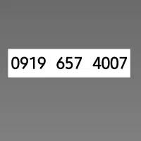 0919-657-4007