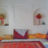 احتیاج ب یک همخونه