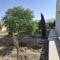 فروش زمین ساختمانی|فروش زمین و ملک کلنگی|سیدان, |دیوار