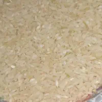 برنج کامفیروزی اصل|خوردنی و آشامیدنی|ارسنجان, |دیوار