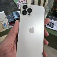 iphone 12 pro|موبایل|رشت, باهنر|دیوار
