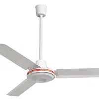 چند عدد پنکه سقفی