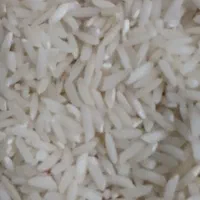 فروش نیم دانه طارم