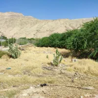 زمین ۹۶۰ متری باغ بنفشه ایثارگران