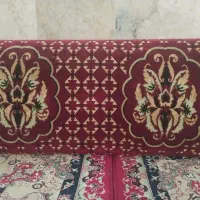 یک جفت پشت نو