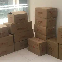 پخش اصلی فاراتل ترانس استابلایزر