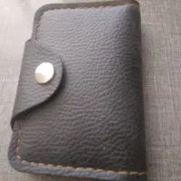 یک جاکارتی با مدارک