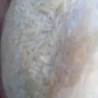 فروش فوری برنج هاشمی