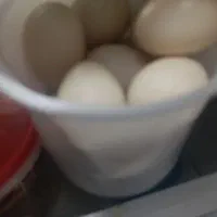 تخم اردک اسراییلی|خوردنی و آشامیدنی|خاتم, |دیوار