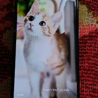 گوشی نوت ۱۲pro