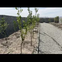 باغچه ۲۲۰ متری/ چهاردیواری/ با انشعابات جلوی ملک|فروش زمین و ملک کلنگی|اسلامشهر, شهرک احمدیه|دیوار