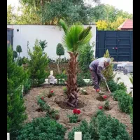 باغبانی شهریار قجرآباد ملارد صفادشت باغیسان