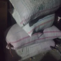 سه کیسه گندم سم خورده بوجار شده درجه یک