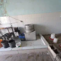 م.ر‌.غ|ظروف پخت‌وپز|سیوان, |دیوار