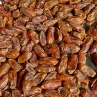 خرمای شاهانی جم