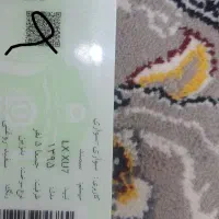 مدارک گمشده