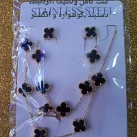 فروش عمده و خرده ونکلیف وسایر بدلیجات