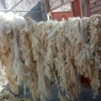 لحاف تشک|رختخواب، بالش، پتو|مرند, |دیوار